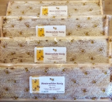 Honigwabe frisch aus dem Bienenstock